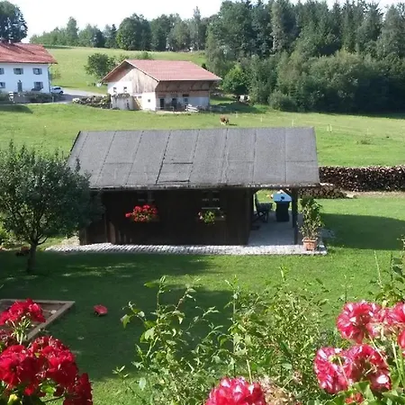 Steinbeisser